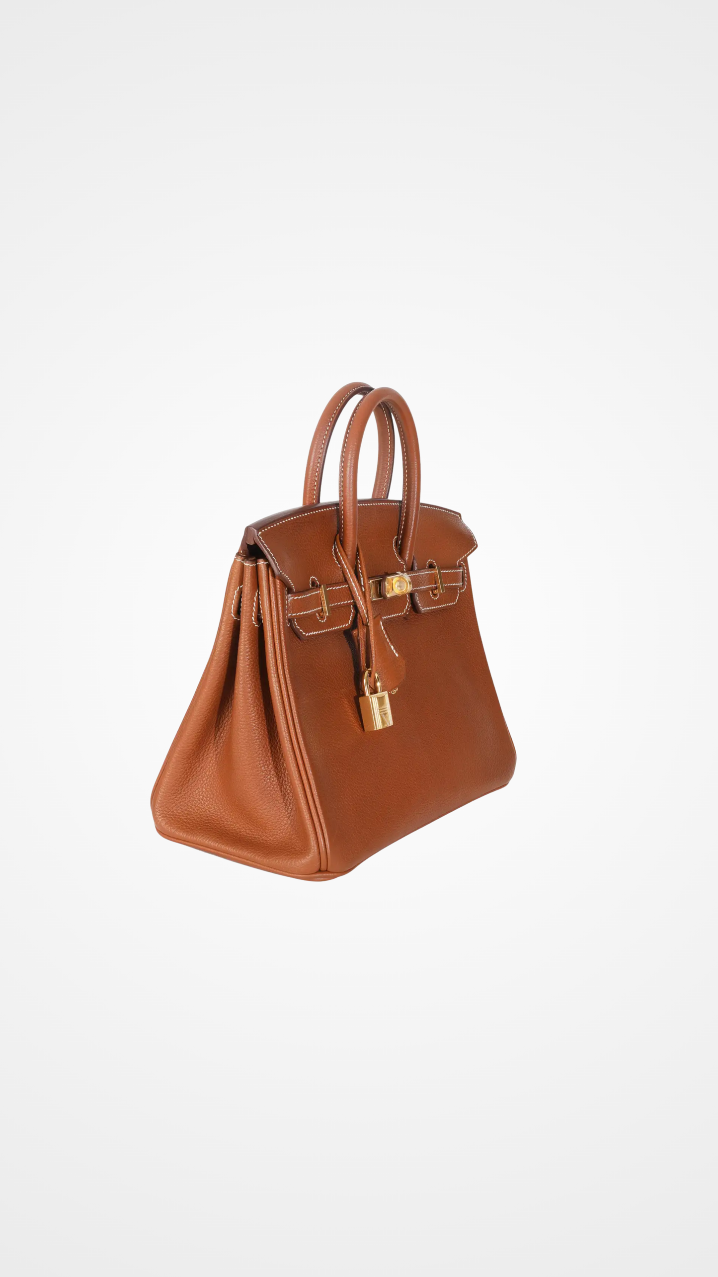 Fauve Barenia Birkin 25 GHW