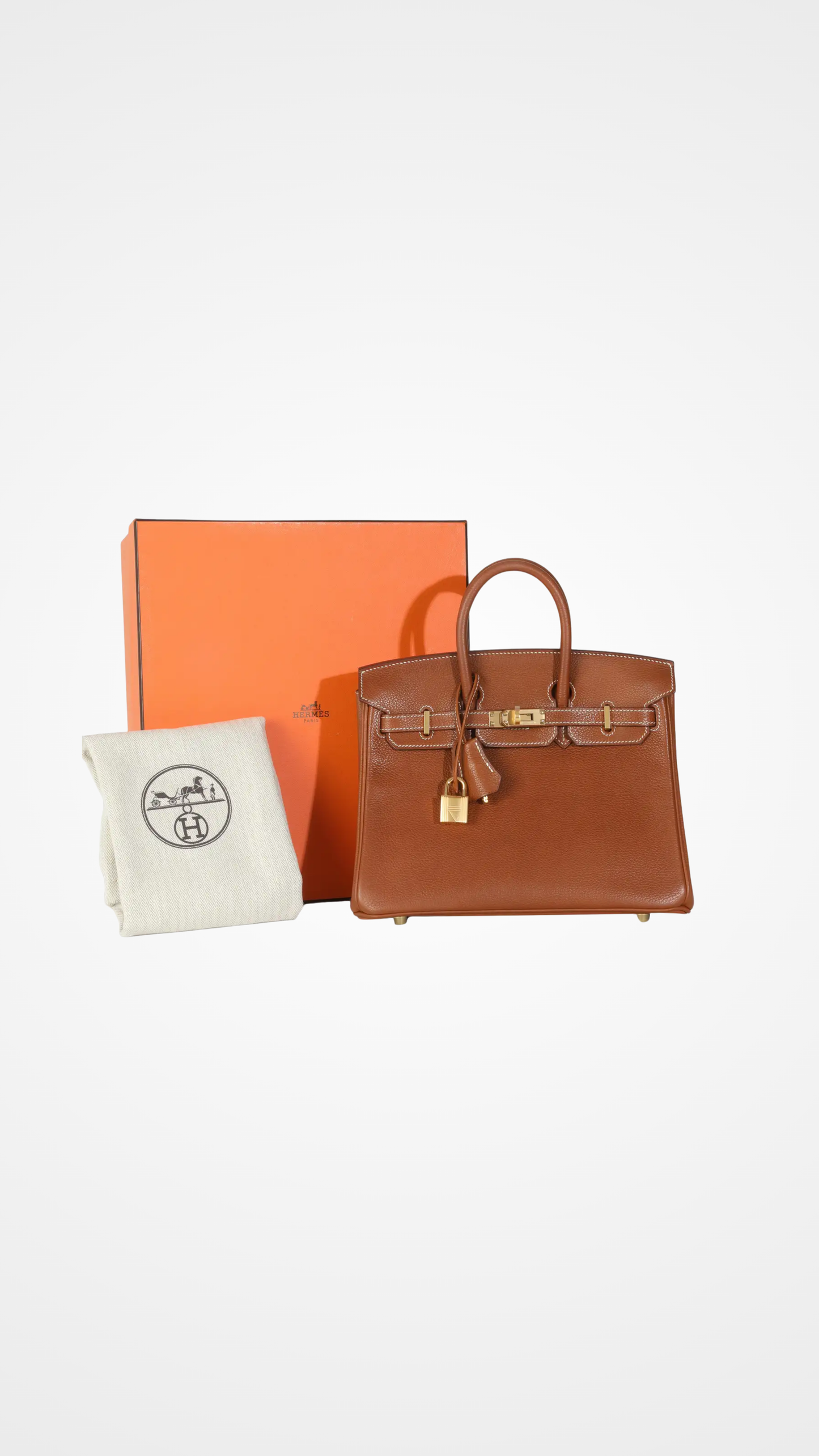 Fauve Barenia Birkin 25 GHW